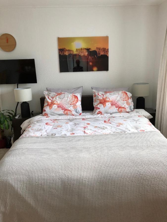 Apartmán De Vier Berken 1 De Koog  Exteriér fotografie